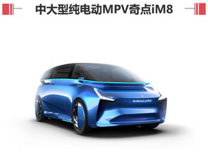奇點汽車賣了多少輛