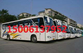 大巴遙控汽車多少元