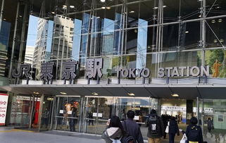 東京街道有多少汽車