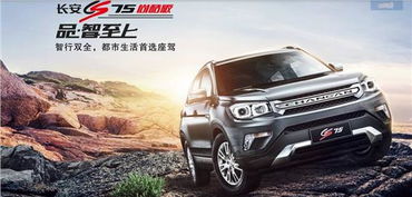 蘭州有多少長安汽車