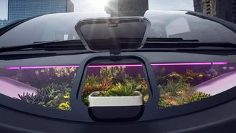 汽車vr多少錢