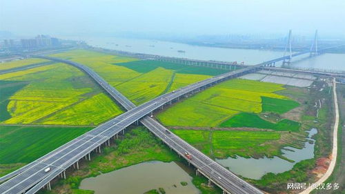 漢南達(dá)汽車多少線
