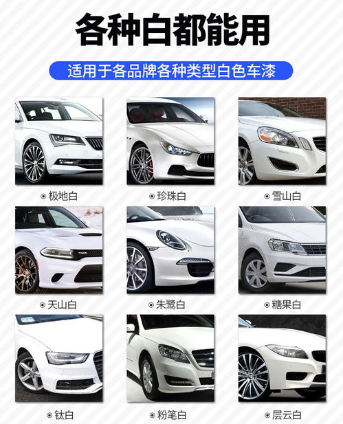 白色汽車打蠟多少費用