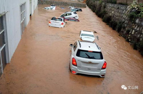 北京有多少汽車泡水
