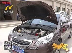 汽車撞樹(shù)損失多少