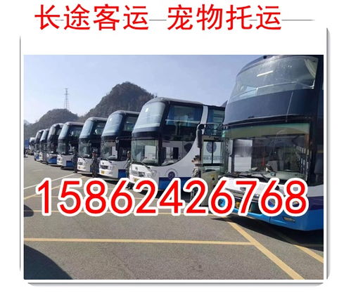 淮濱汽車噴漆價格多少
