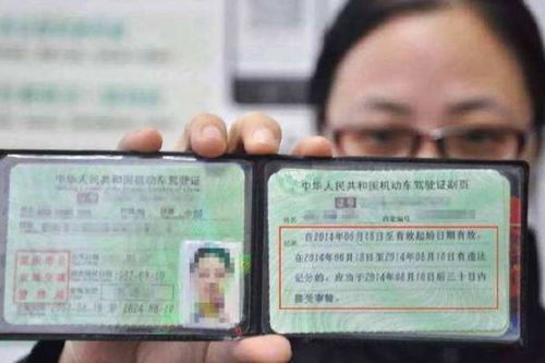 考汽車證多少題