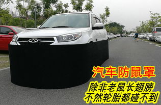 防鼠汽車多少錢