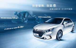 比亞迪汽車全國訂單多少