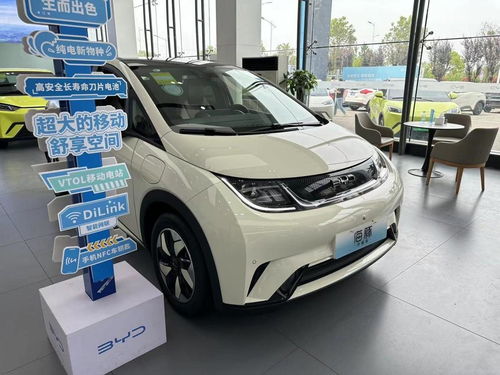 榮耀汽車踏板價位多少