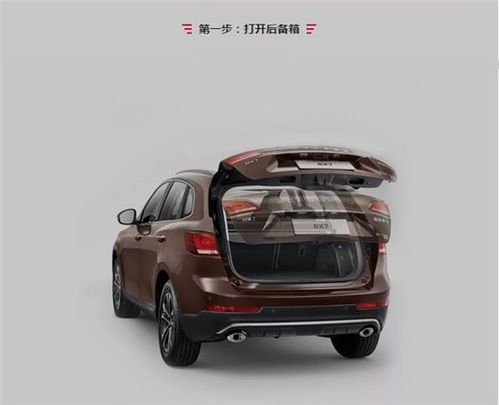 大象比汽車大多少