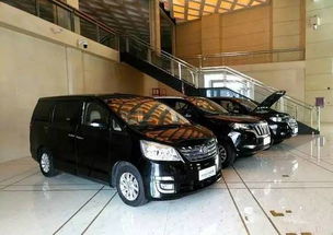 銀隆汽車投資多少