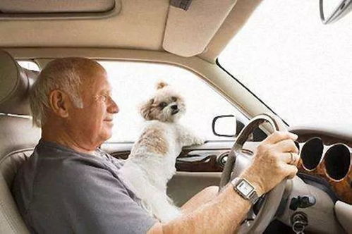 多少周歲可以開汽車