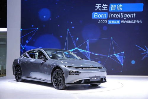小鵬汽車灰色多少