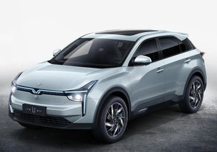 哪咤汽車?yán)m(xù)航多少