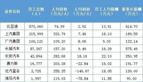 汽車(chē)之家技術(shù)薪資多少