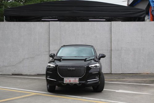 哈佛汽車捐款多少合適
