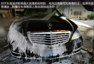 汽車樹膠多少錢