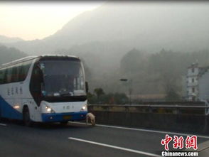 祁東到金華多少汽車