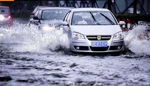 汽車泡水之后損失多少