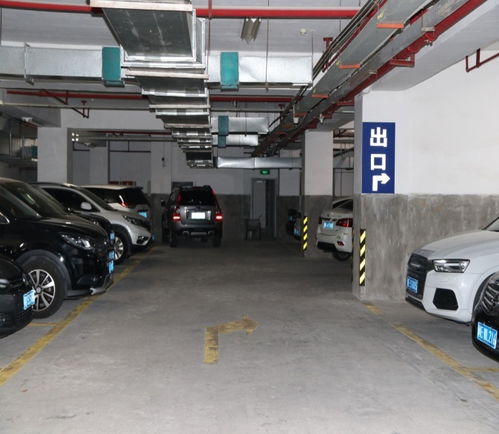 人防汽車車高多少 人防汽車車高多少