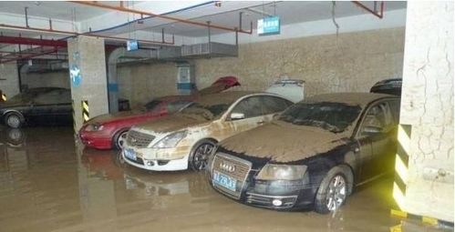 汽車要用多少水泡車