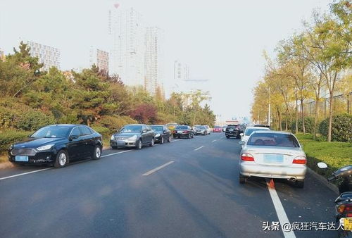 汽車違章共多少項