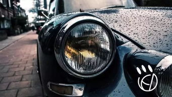 汽車上共有多少燈