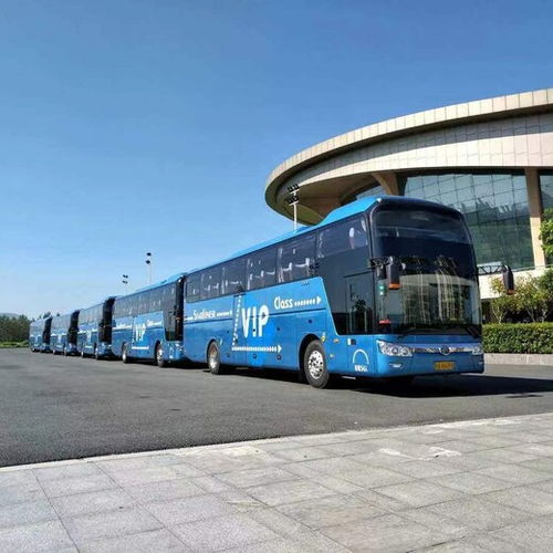 臨海至亳州汽車多少