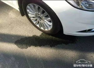 汽車潑水多少錢