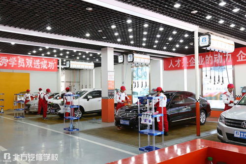 專(zhuān)業(yè)汽車(chē)美容費(fèi)用多少