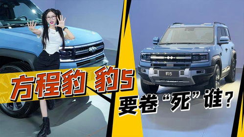 云輦汽車售價多少