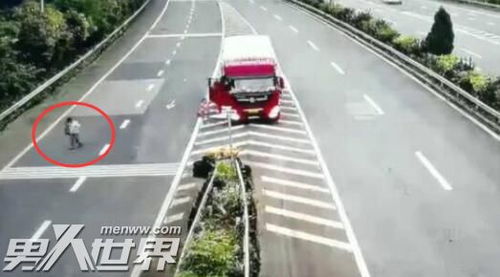 女子為蹭高速免費提前半個月出發(fā)