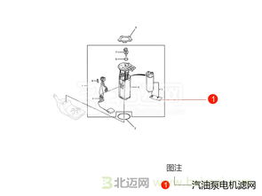 汽車油泵多少種類型