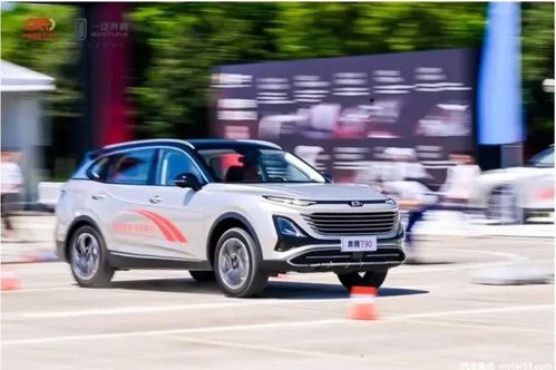 安順奔騰汽車估價(jià)多少
