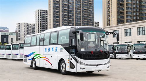 新疆旅游汽車多少輛