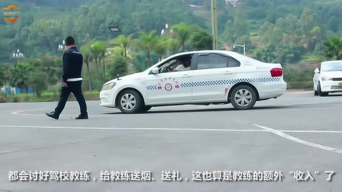 大頭汽車教練工資多少