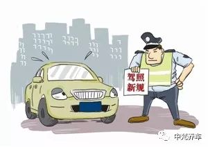大頭汽車教練工資多少