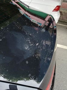 汽車局部拋光時(shí)間多少