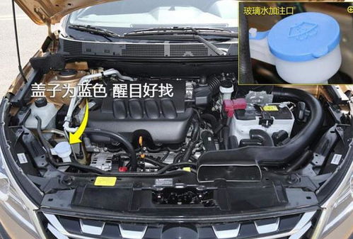 汽車水壺有多少水位