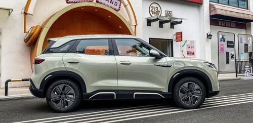 崖城汽車(chē)多少錢(qián)