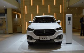 魏派汽車多少價位
