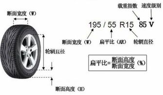 汽車靜力半徑多少合適