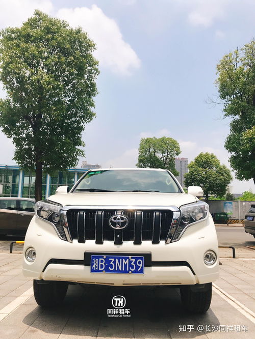 新疆西藏汽車限速多少