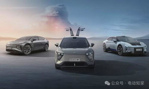 高合汽車投了多少
