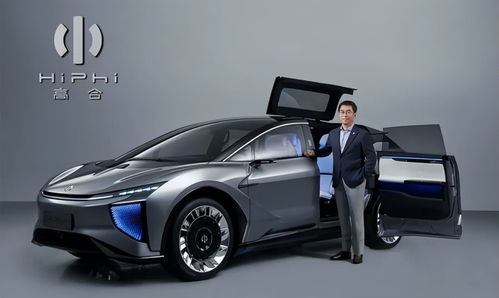 高合汽車投了多少