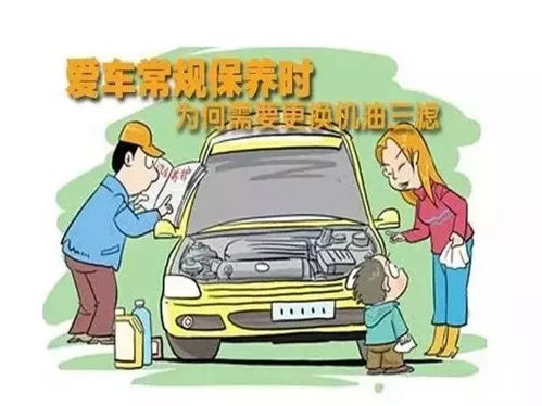 汽車養(yǎng)護(hù)利潤大概多少