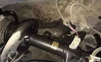 汽車減震升高多少合適