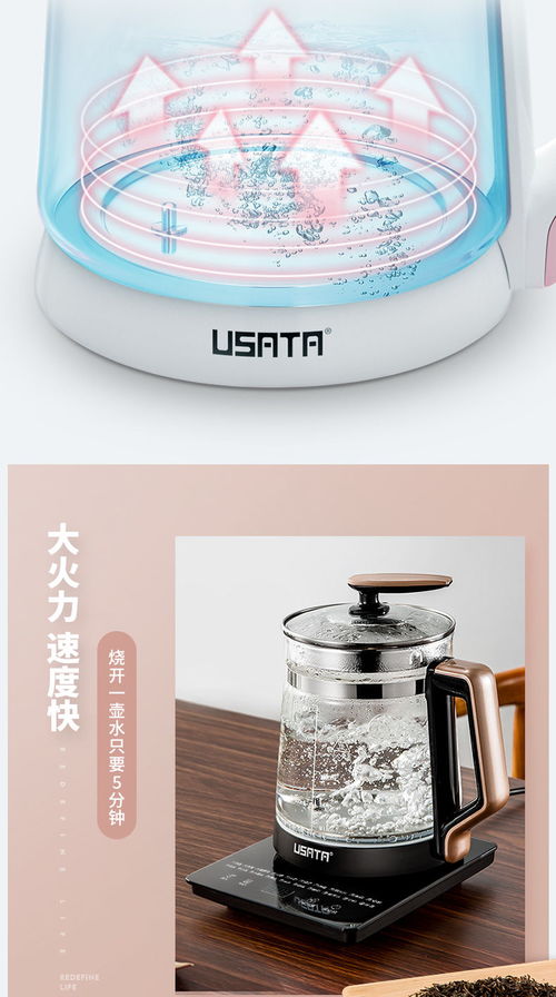 汽車(chē)燒水壺功率多少