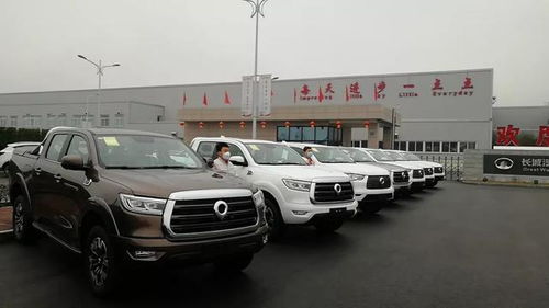 長(zhǎng)城汽車捐贈(zèng)多少